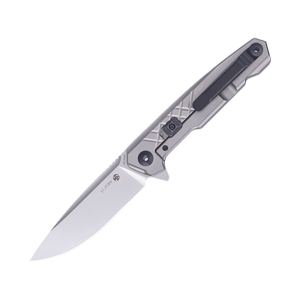 Ніж складаний туристичний Ruike M875-TZ, (8.9 см) N690Co / TC4 (титан) сірий