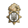Беретний знак Національна Гвардія України