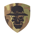 Шеврон Camotec Череп в панамі (7*8) MC